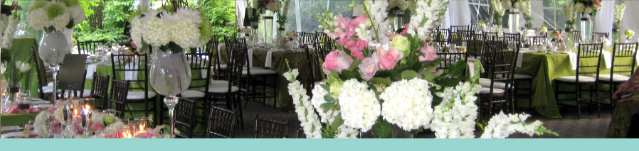 Melissa Baxter Events